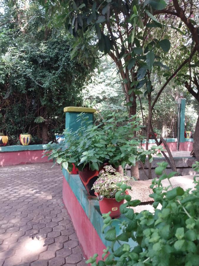Green Garden Guest House Arusha Buitenkant foto