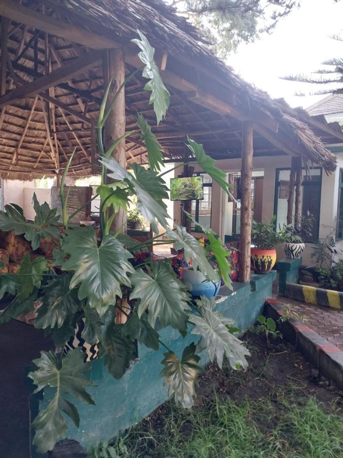 Green Garden Guest House Arusha Buitenkant foto