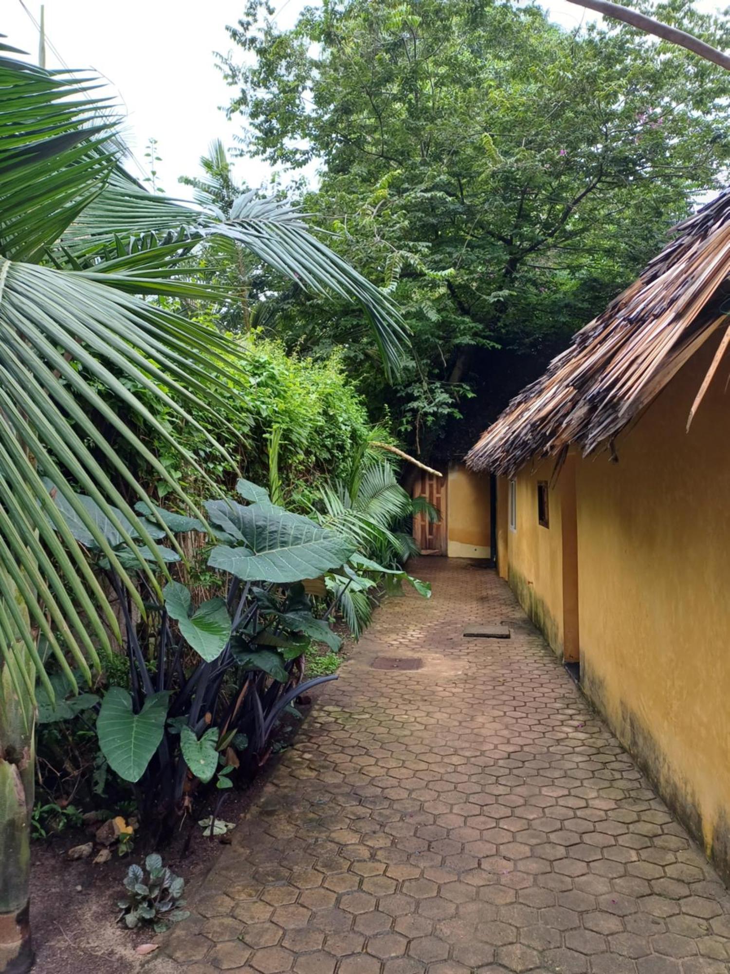 Green Garden Guest House Arusha Buitenkant foto